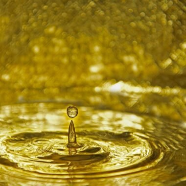 water drop on body of water